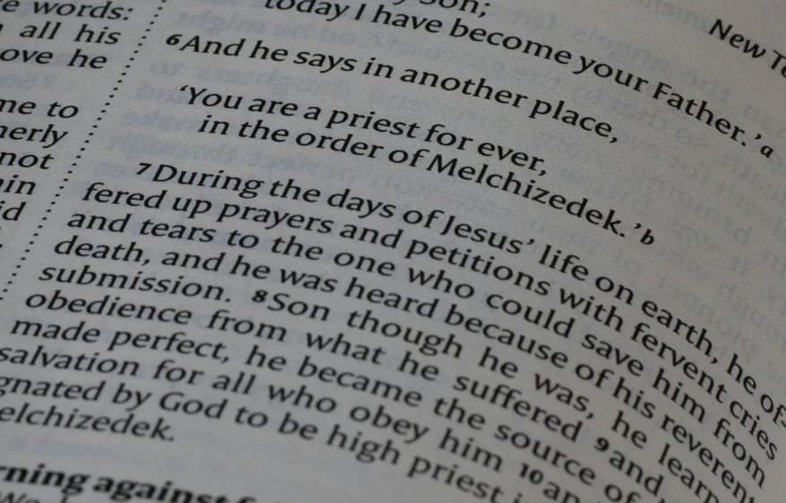 bible text