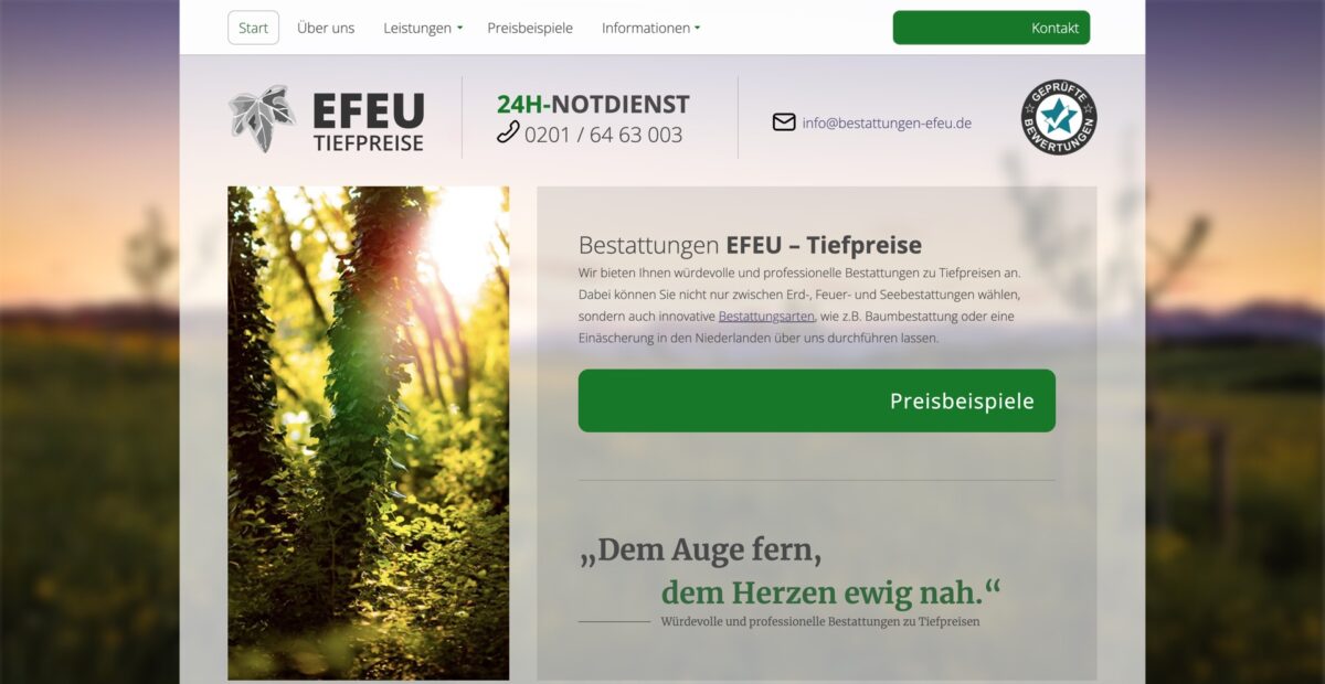 Screenshot der Website