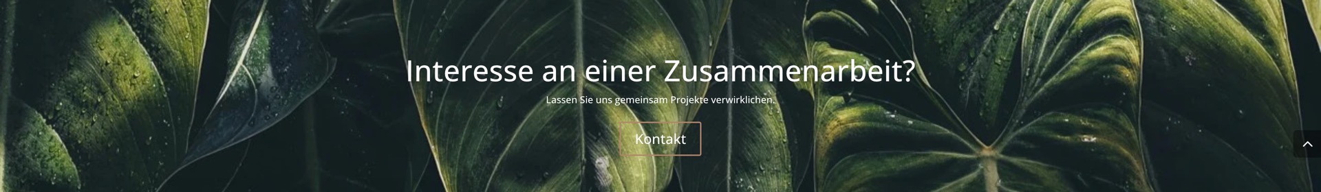 Ausschnitt 3 von 3 der Website von Landschaftsbau Erfurt Simonsen, Erfurt