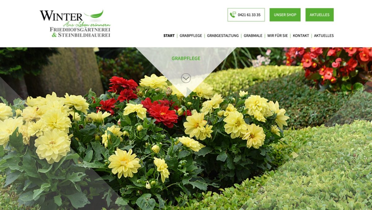 Screenshot der Website