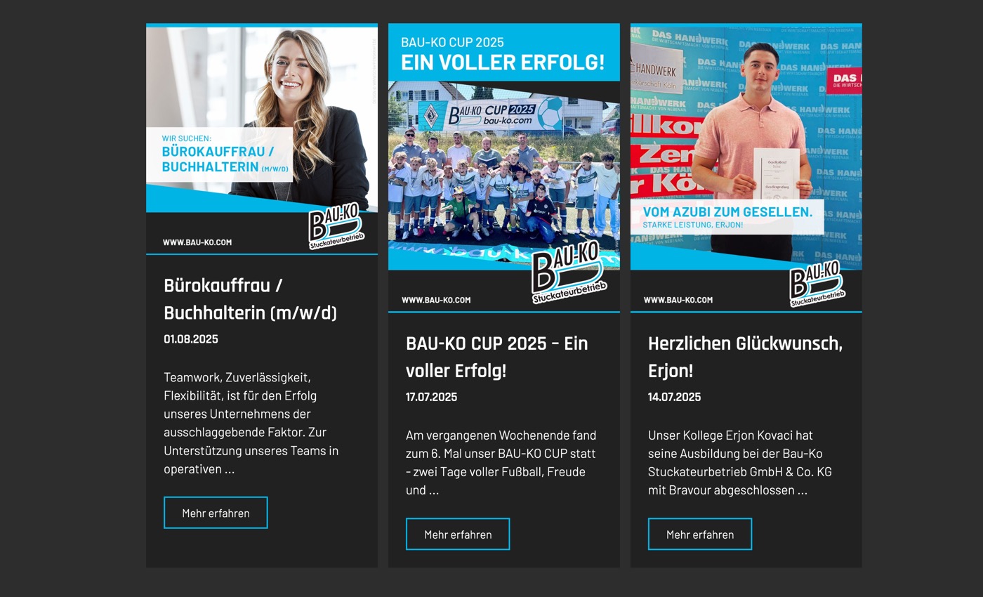 Ausschnitt 4 von 5 der Website von BAU‑KO Stuckateurbetrieb, Rhein-Sieg-Kreis