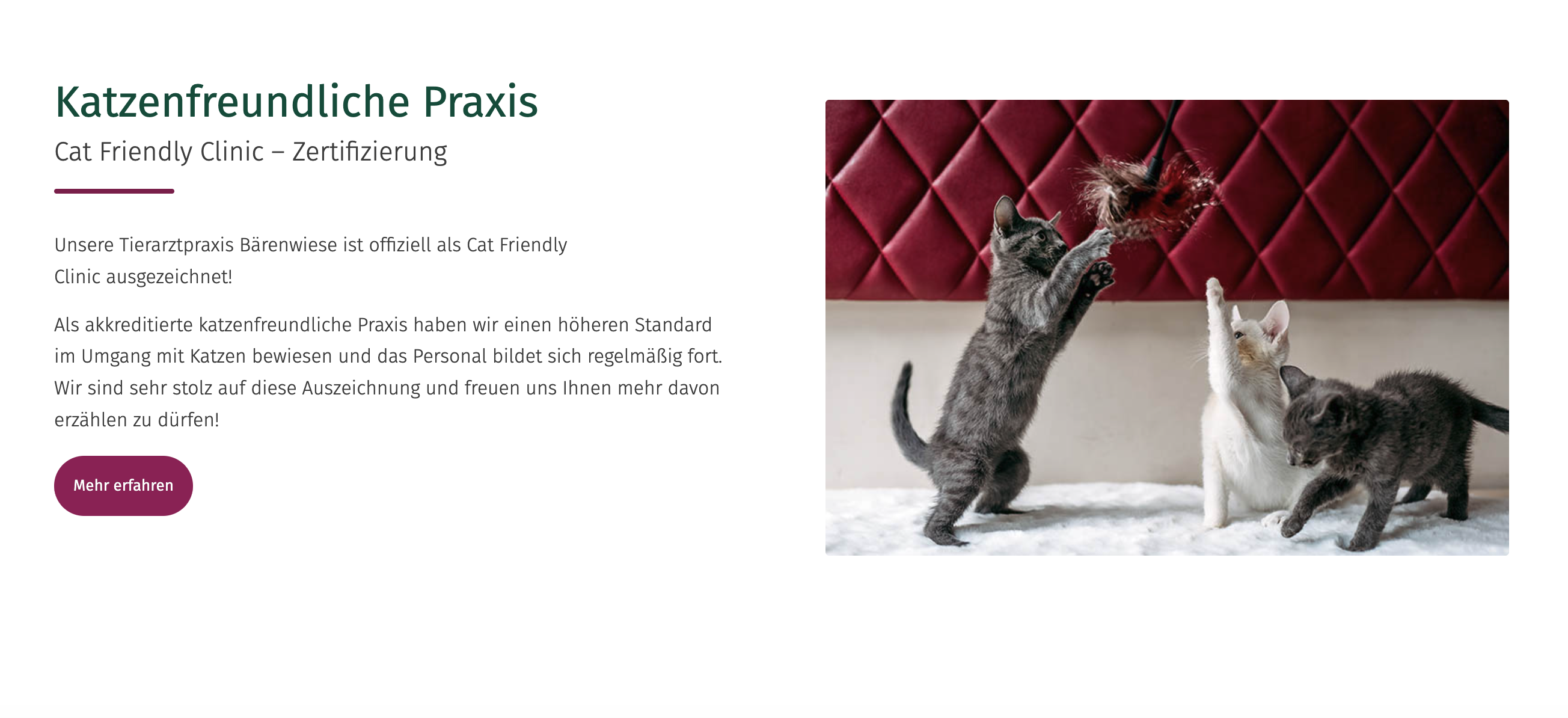 Ausschnitt 3 von 4 der Website von Tierarzt Plus Berlin Services GmbH, Berlin