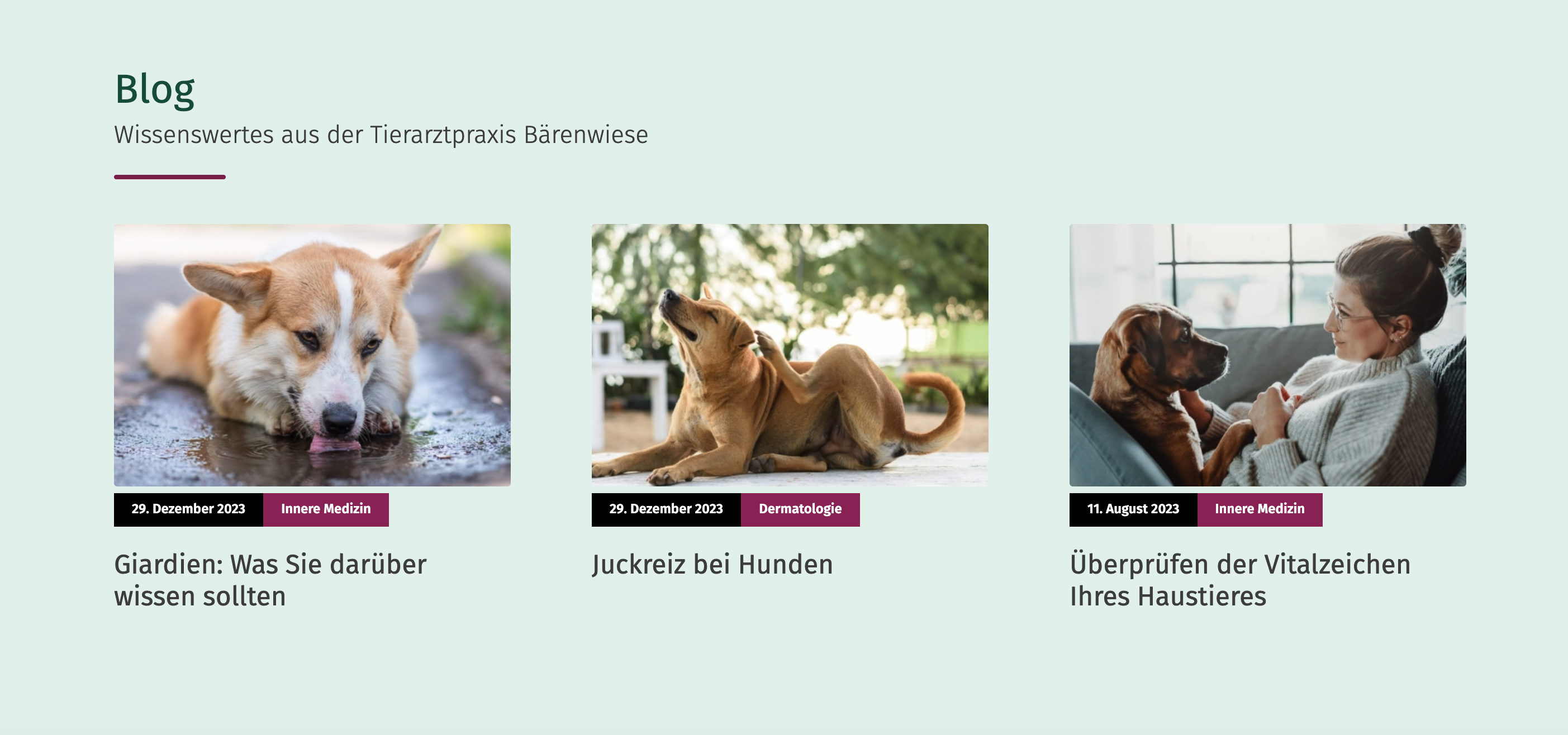 Ausschnitt 4 von 4 der Website von Tierarzt Plus Berlin Services GmbH, Berlin