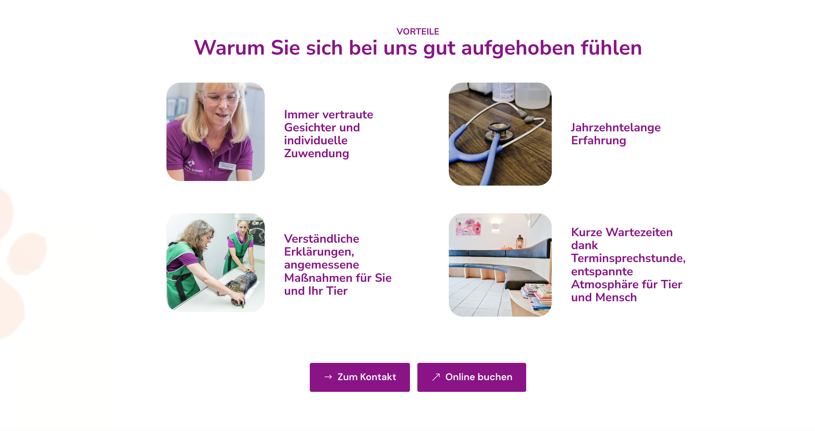 Ausschnitt 3 von 4 der Website von Tierärztliche Gemeinschaftspraxis Dr. Sonja Fricke & Jeanette Schwarz GbR, Rhein-Sieg-Kreis