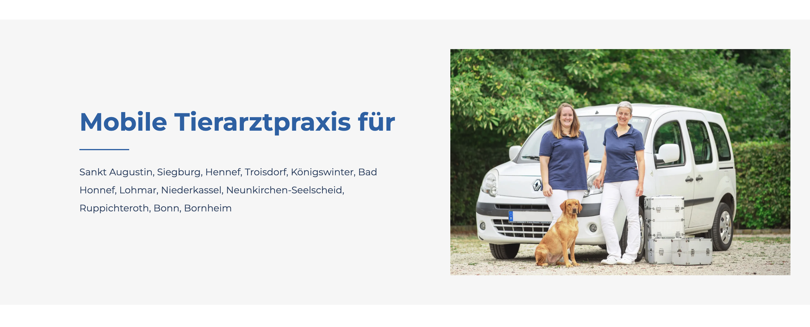 Ausschnitt 4 von 4 der Website von Tierarztpraxis am Wohnpark, Rhein-Sieg-Kreis