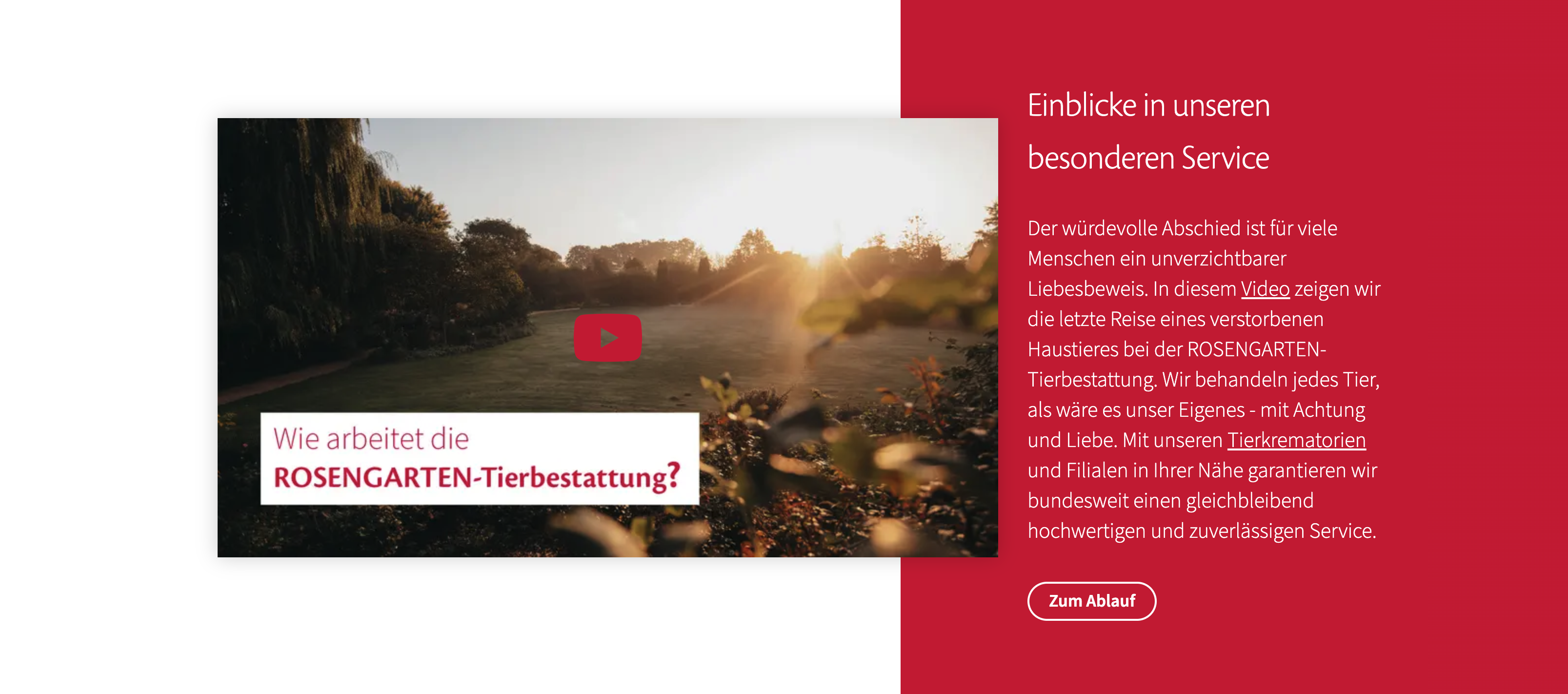 Ausschnitt 2 von 2 der Website von ROSENGARTEN GmbH, Landkreis Emmendingen