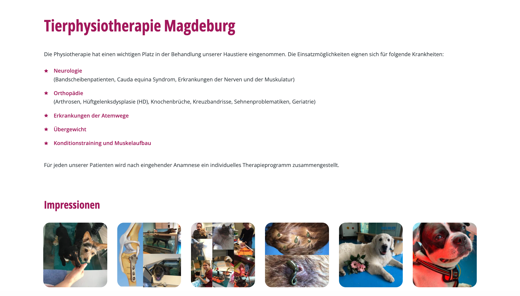 Ausschnitt 3 von 4 der Website von Tierarztpraxis am Stern, Magdeburg