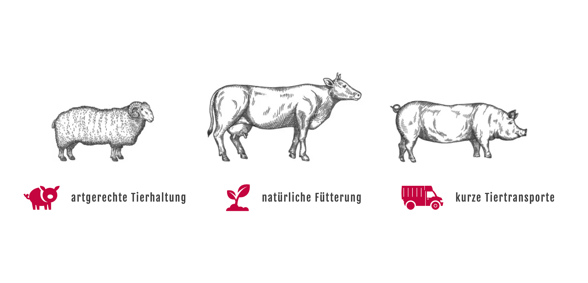 Ausschnitt 1 von 4 der Website von Fleischerei Christian Gottschlich, Berlin
