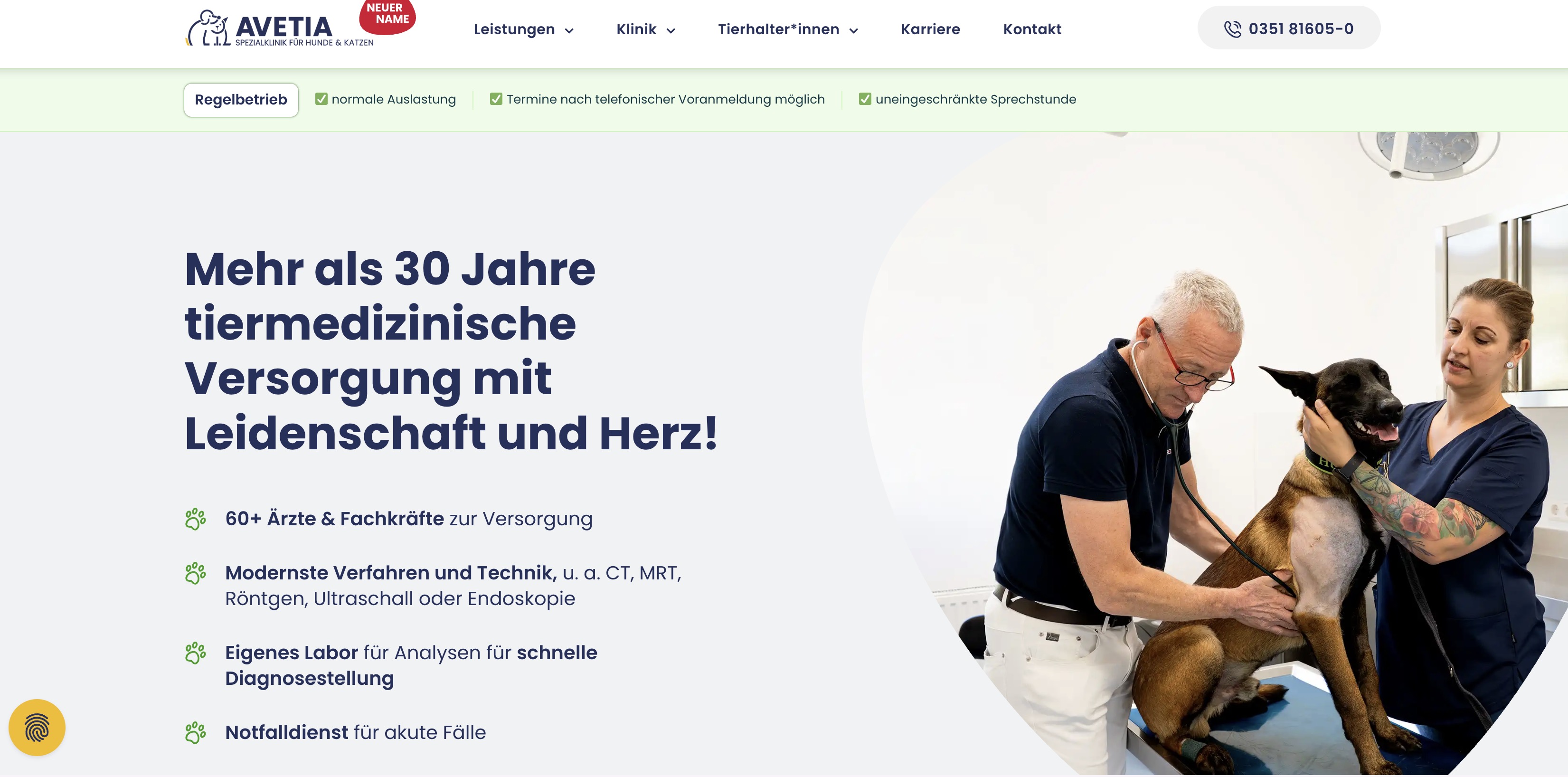 Screenshot der Website