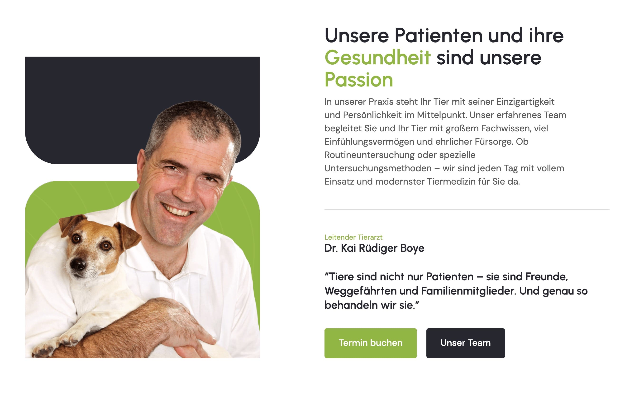 Ausschnitt 3 von 4 der Website von Tierarztpraxis Dr. Boye, Kassel