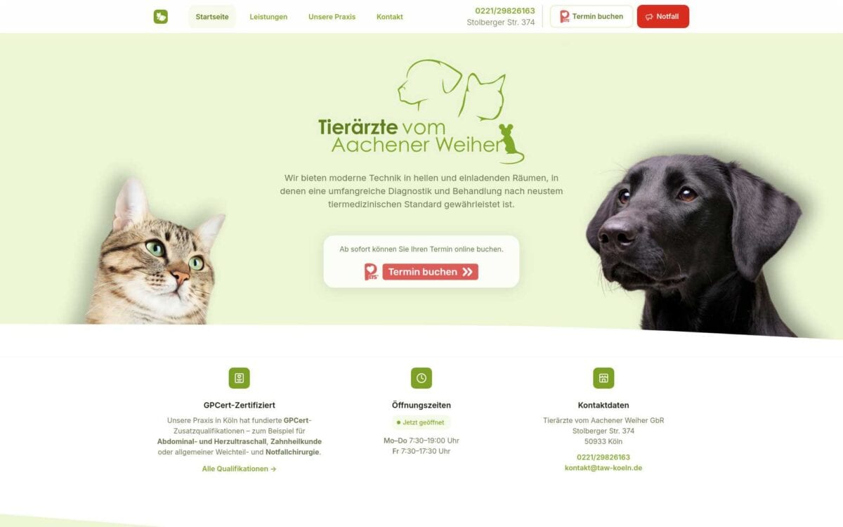 Screenshot der Website