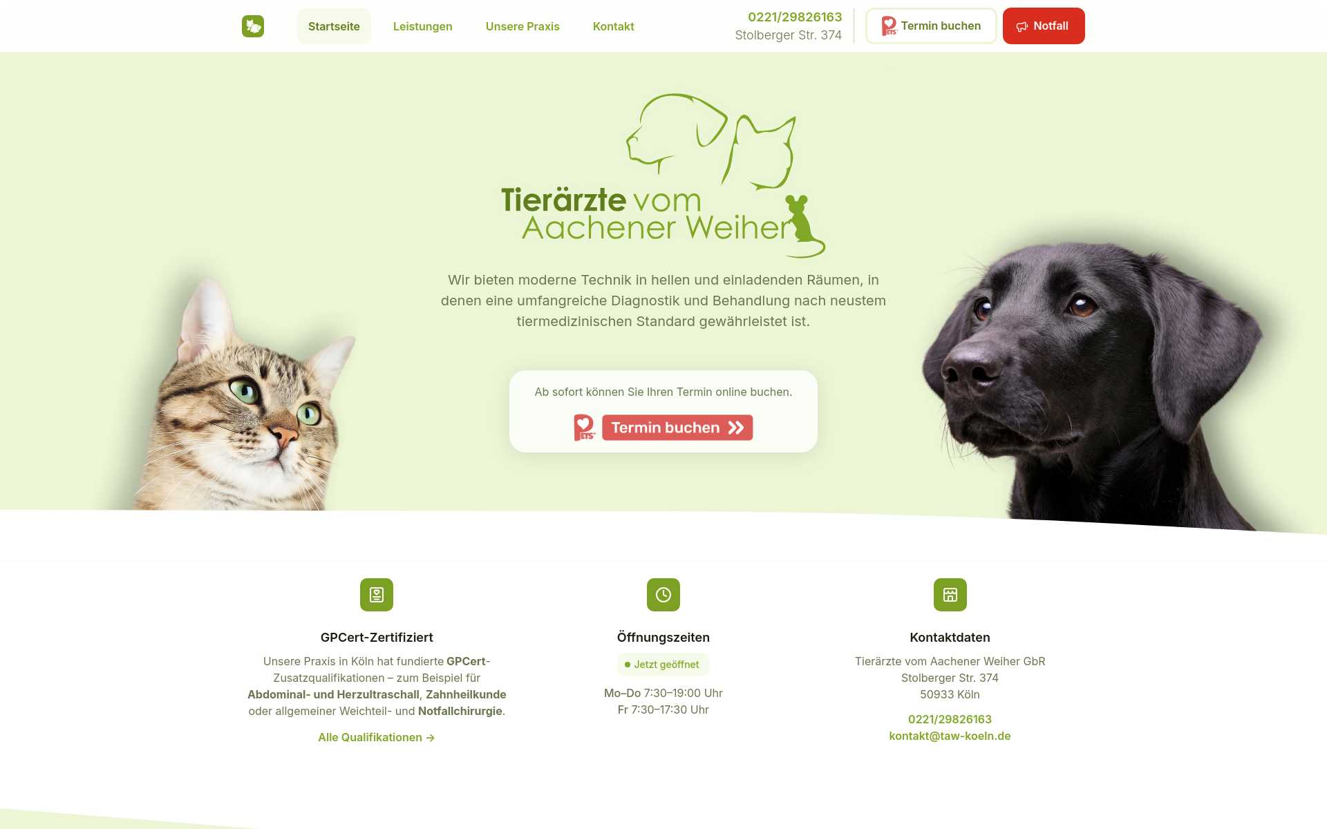 Screenshot der Website