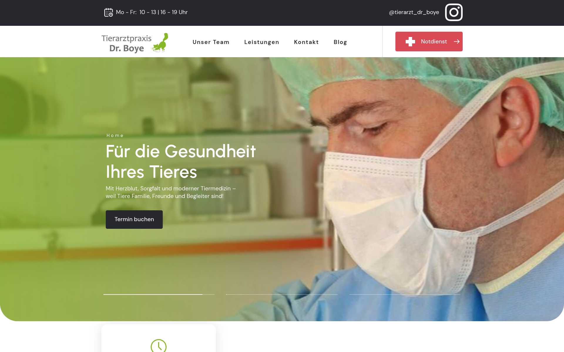 Screenshot der Website