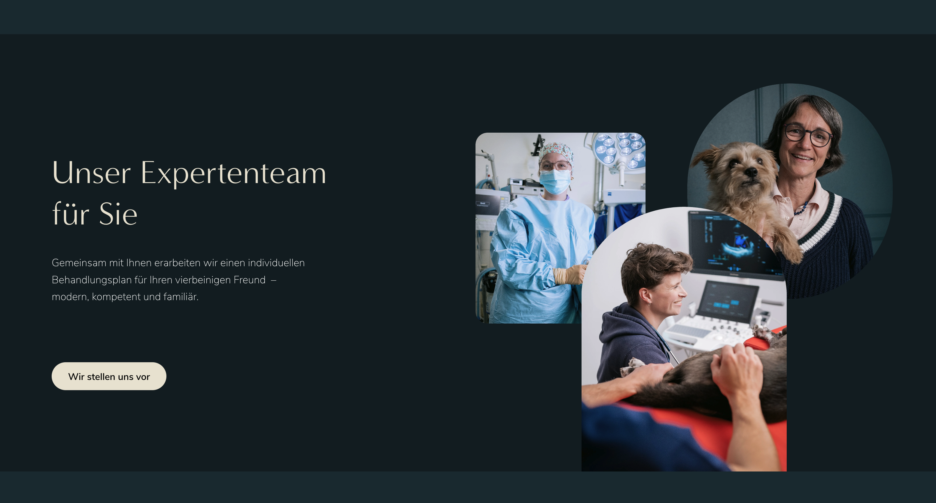 Ausschnitt 2 von 3 der Website von Tiergesundheitszentrum Hamburg GbR, Hamburg