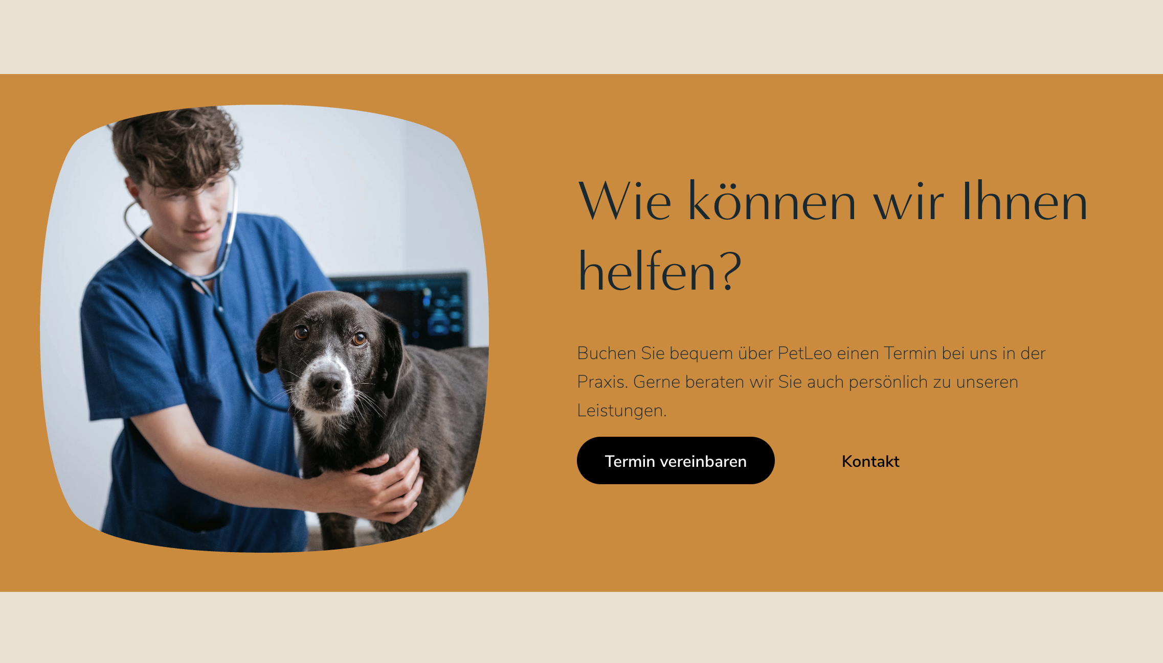 Ausschnitt 1 von 3 der Website von Tiergesundheitszentrum Hamburg GbR, Hamburg