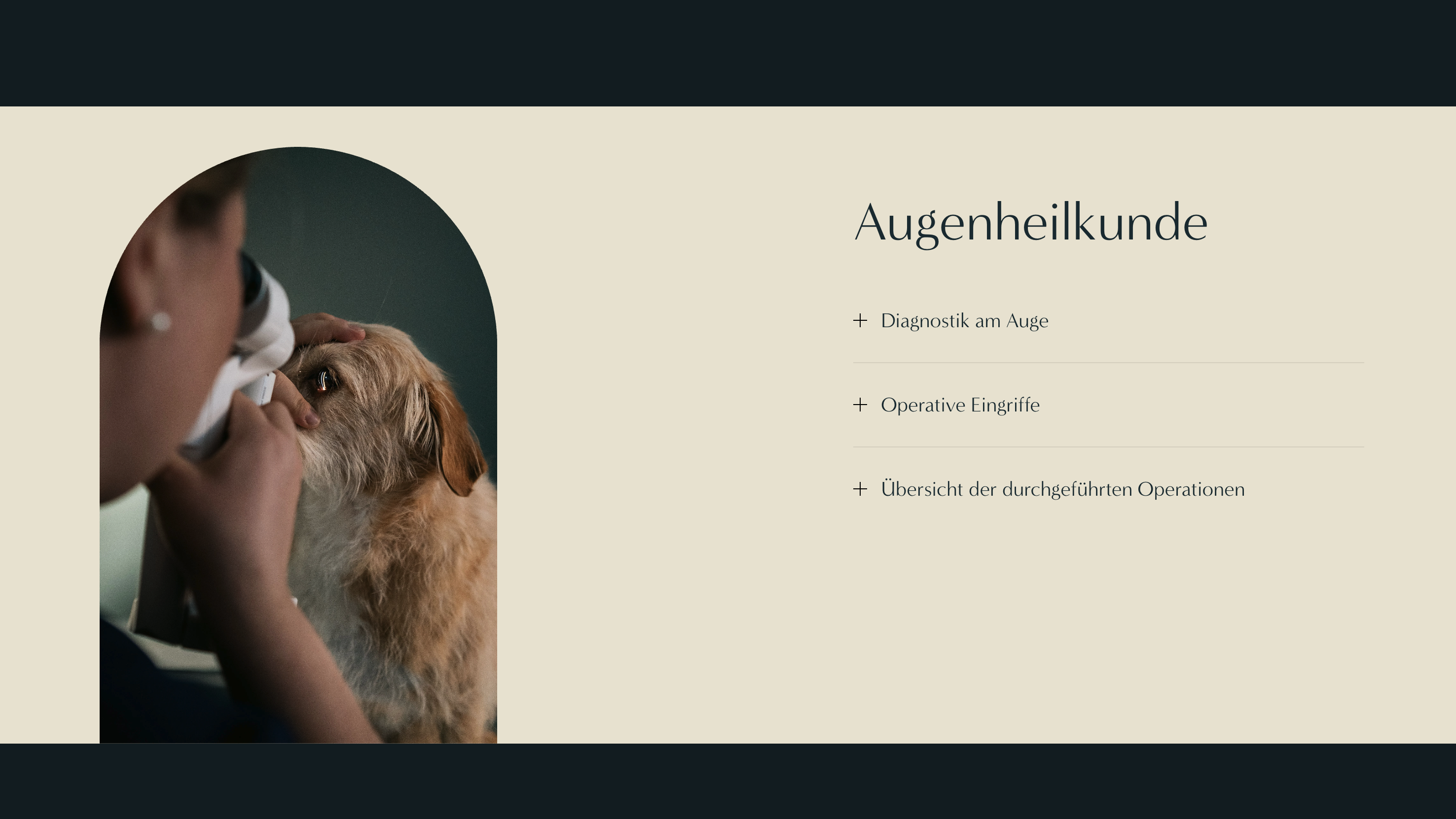 Ausschnitt 3 von 3 der Website von Tiergesundheitszentrum Hamburg GbR, Hamburg