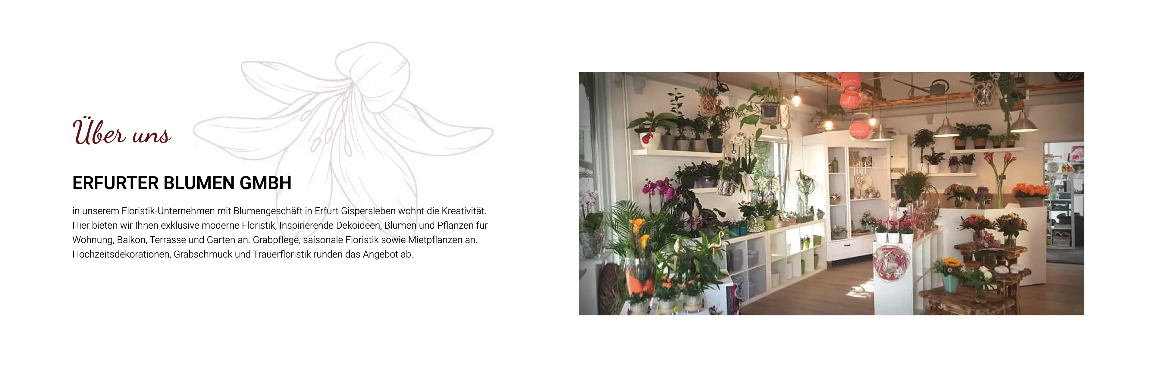 Ausschnitt 2 von 2 der Website von Erfurter Blumen GmbH, Erfurt