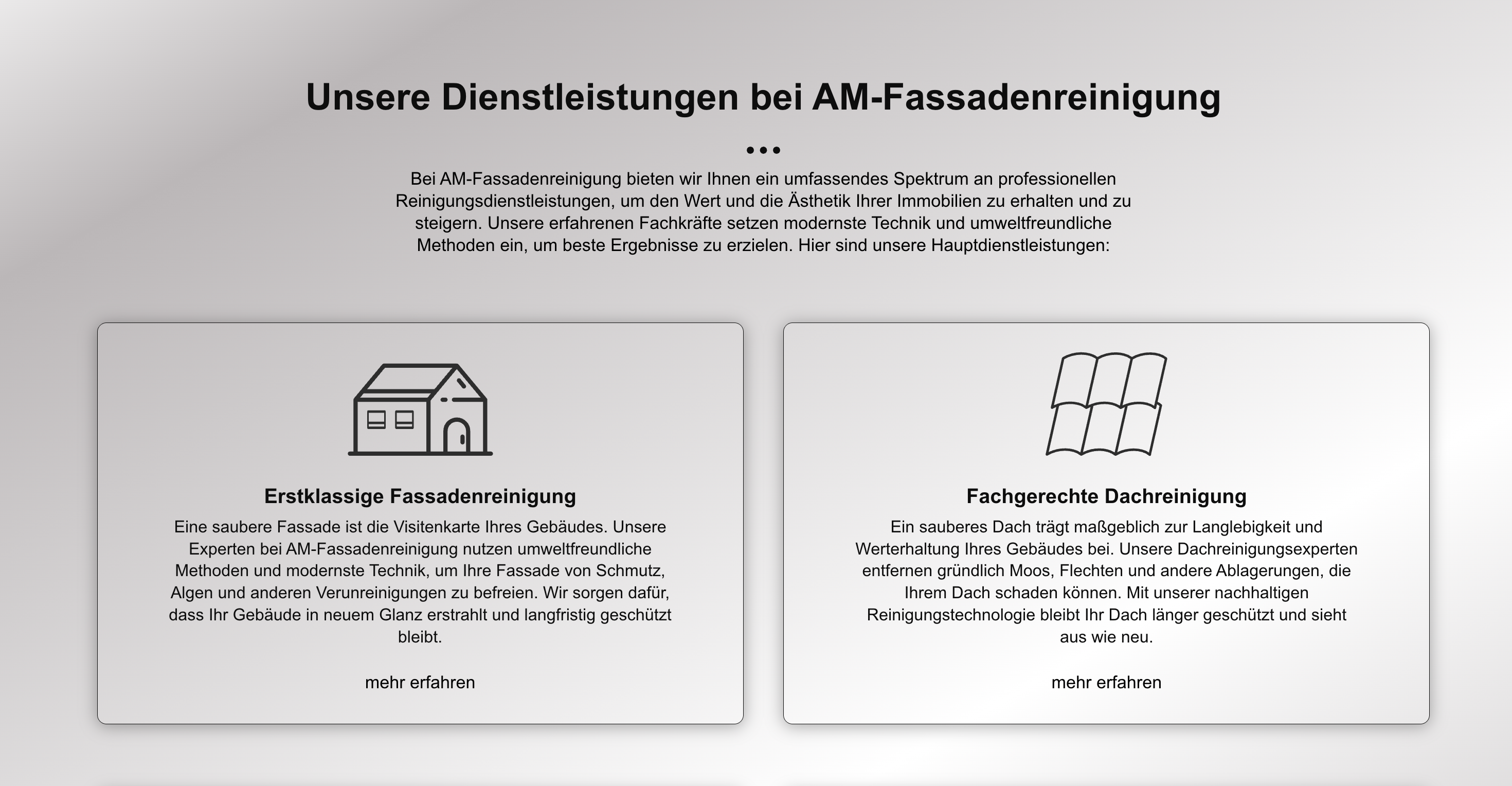 Ausschnitt 2 von 2 der Website von Aziz Malla, Hamburg