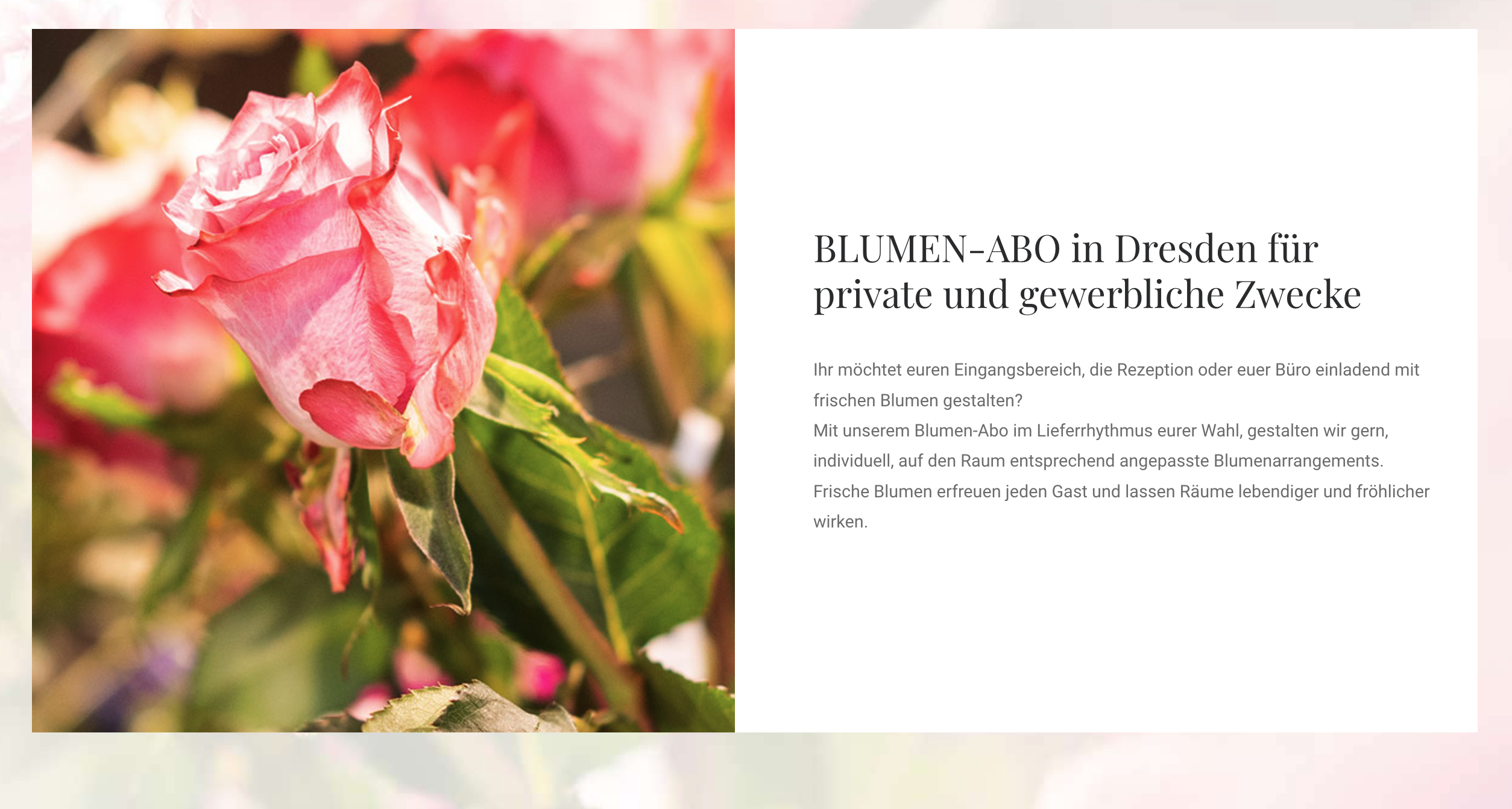 Ausschnitt 2 von 3 der Website von BlumenTräume, Dresden