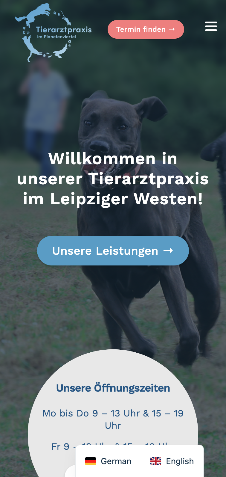 Das Bild zeigt einen Mobile Screenshot der vorgestellten Website