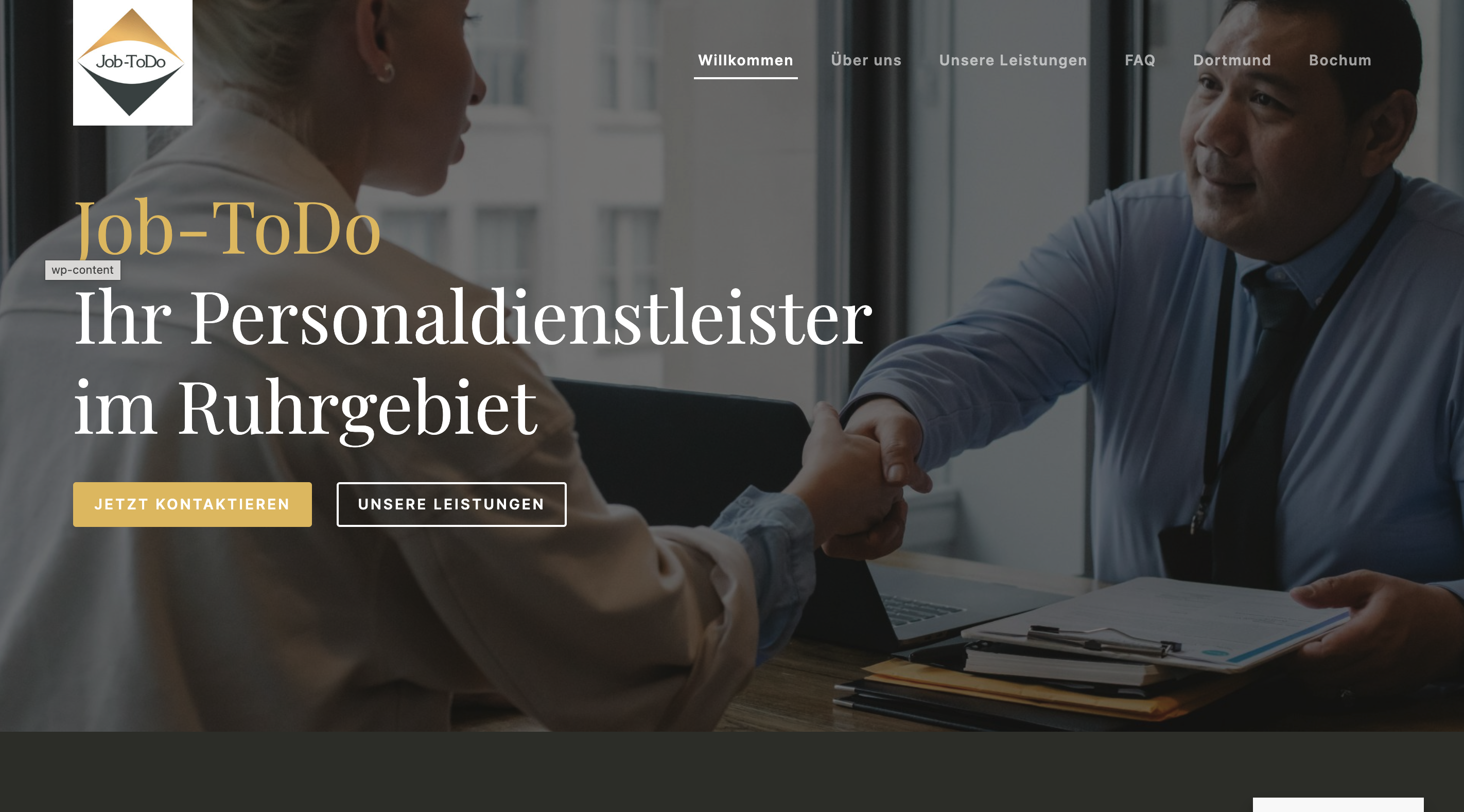 Das Bild zeigt einen Desktop Screenshot der vorgestellten Website