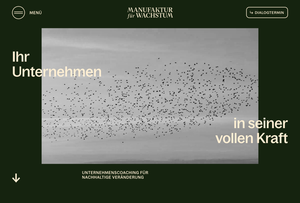 Das Bild zeigt einen Desktop Screenshot der vorgestellten Website