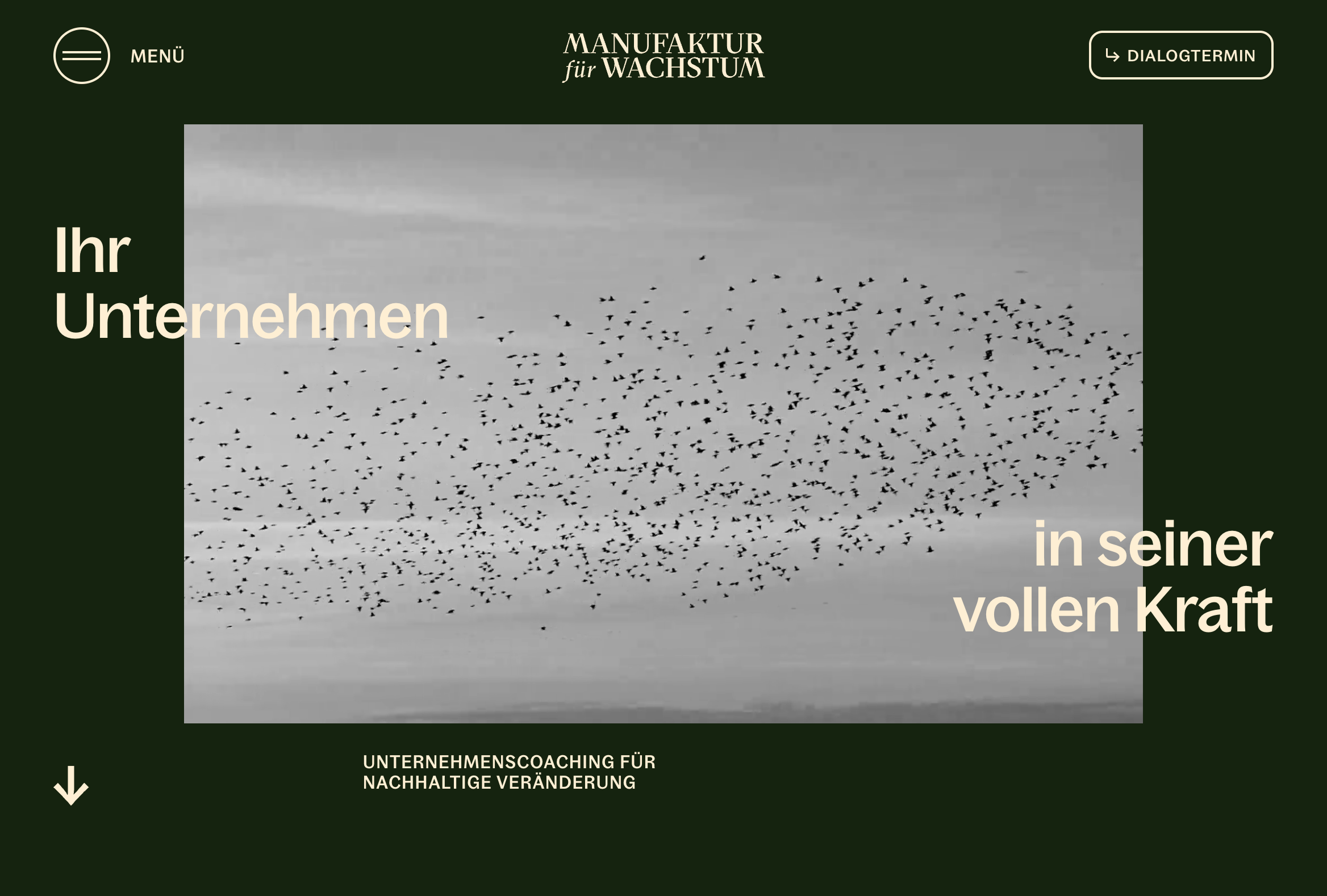 Das Bild zeigt einen Desktop Screenshot der vorgestellten Website