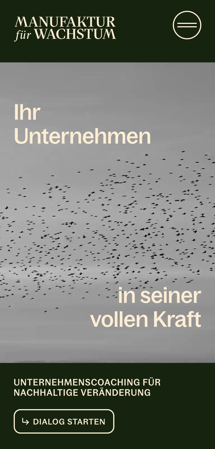 Das Bild zeigt einen Mobile Screenshot der vorgestellten Website