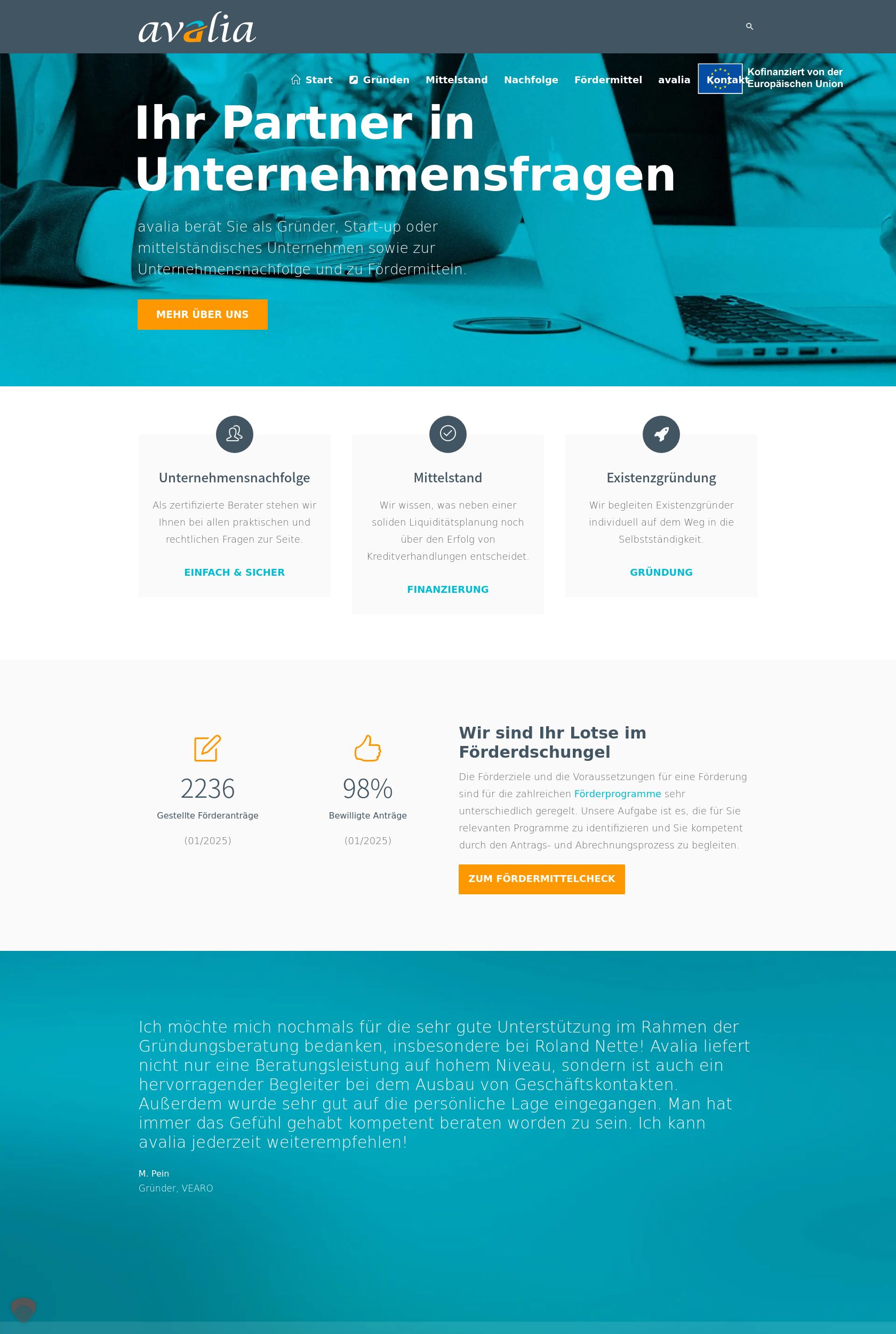 Das Bild zeigt einen Desktop Screenshot der vorgestellten Website