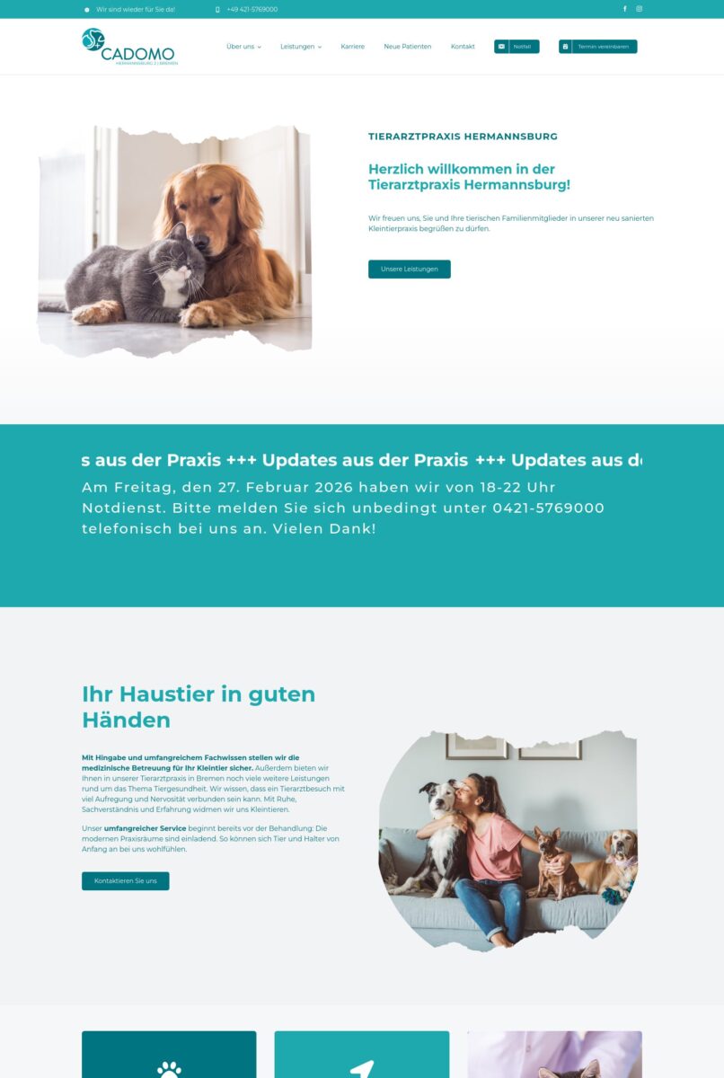 Das Bild zeigt einen Desktop Screenshot der vorgestellten Website