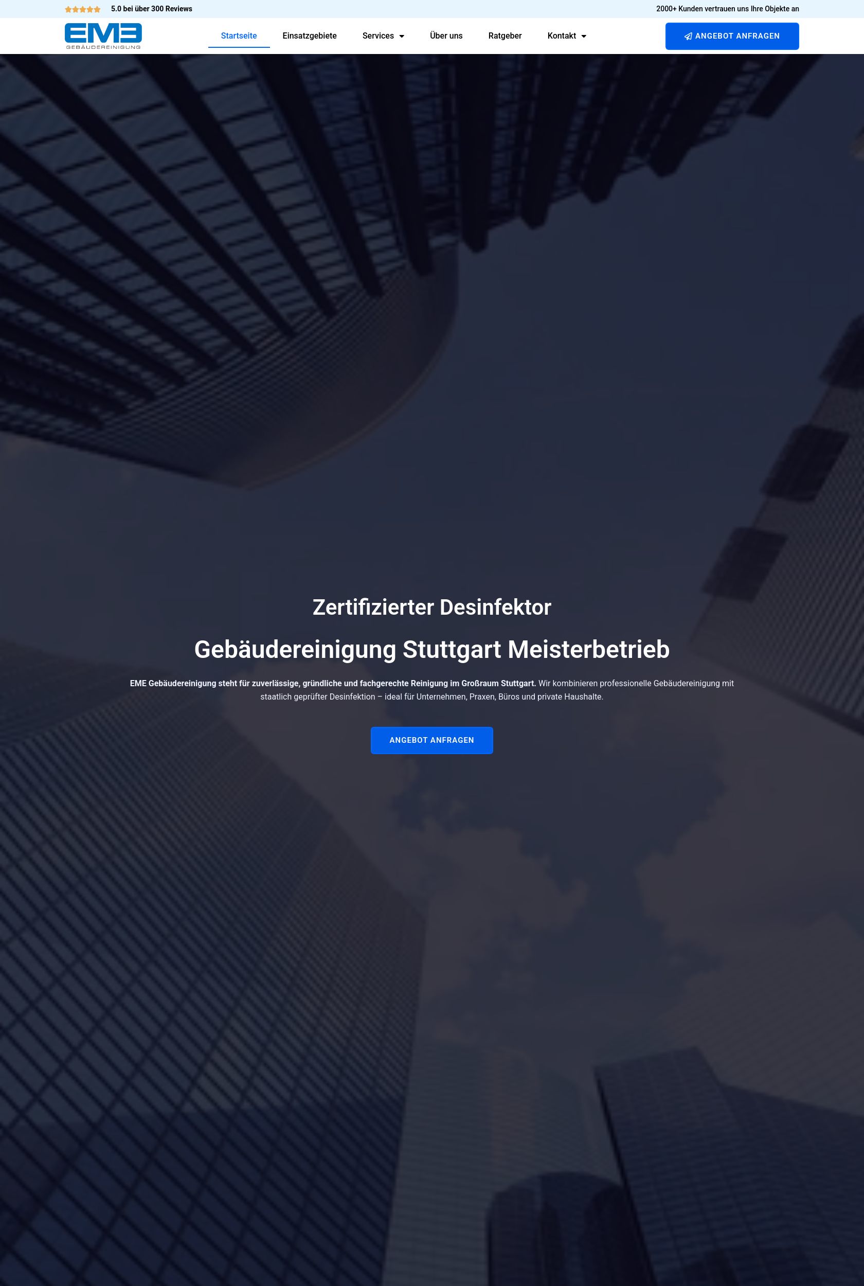 Das Bild zeigt einen Desktop Screenshot der vorgestellten Website