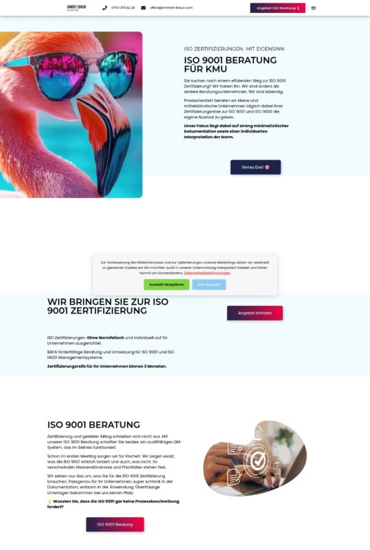 Emmert Braun Consulting