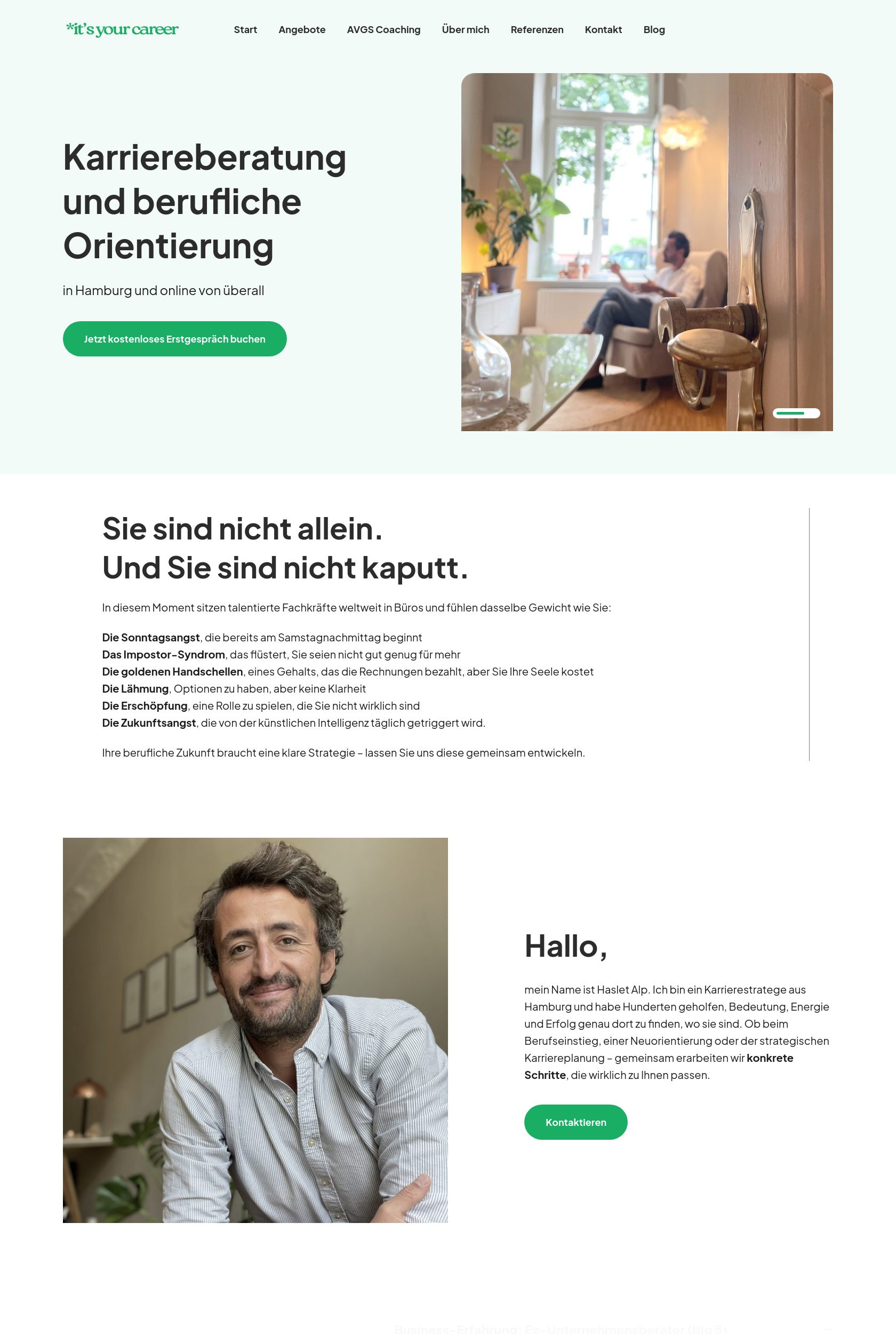 Das Bild zeigt einen Desktop Screenshot der vorgestellten Website