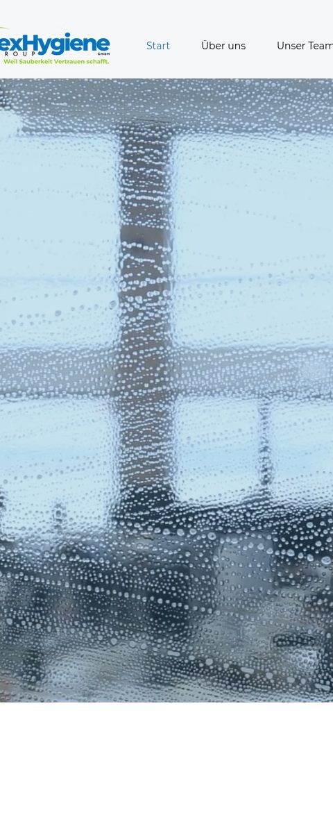 Das Bild zeigt einen Mobile Screenshot der vorgestellten Website