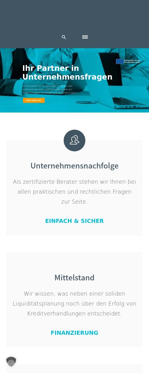 Das Bild zeigt einen Mobile Screenshot der vorgestellten Website