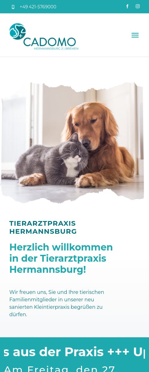 Das Bild zeigt einen Mobile Screenshot der vorgestellten Website