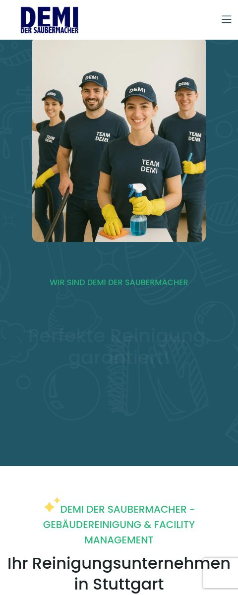 Das Bild zeigt einen Mobile Screenshot der vorgestellten Website