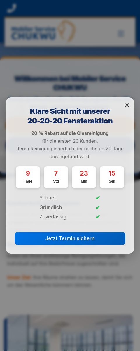 Das Bild zeigt einen Mobile Screenshot der vorgestellten Website