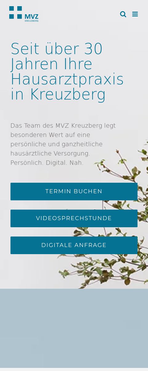 Das Bild zeigt einen Mobile Screenshot der vorgestellten Website