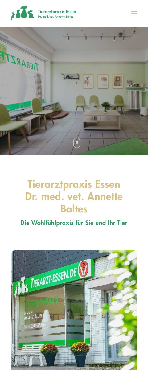 Das Bild zeigt einen Mobile Screenshot der vorgestellten Website