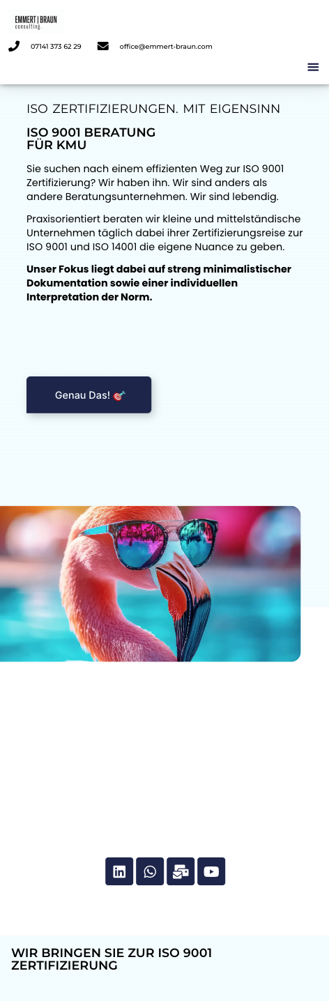 Das Bild zeigt einen Mobile Screenshot der vorgestellten Website