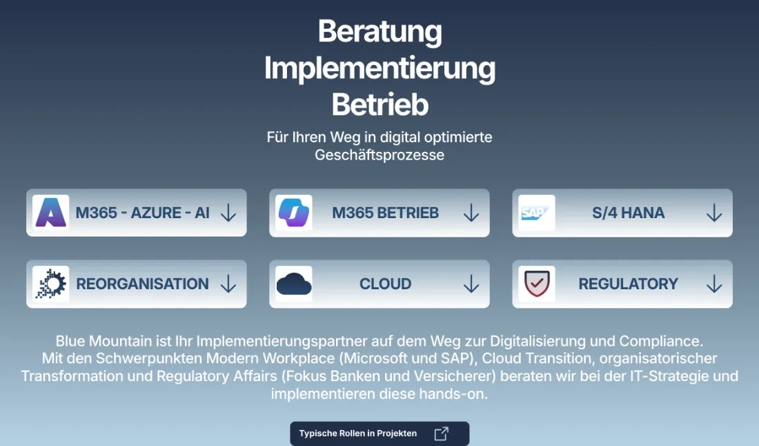 Ausschnitt der Website von Blue Mountain Consulting GmbH, Hannover: Sechs klar benannte Kacheln bündeln die Themen — wer sucht, erkennt Zuständigkeiten sofort und navigiert gezielt weiter.