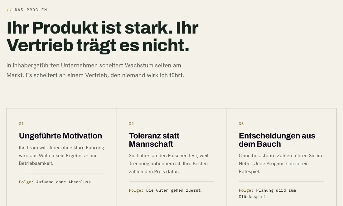 Ausschnitt der Website von GT Sales Consulting GmbH, Leverkusen: Drei klar nummerierte Problemfelder mit jeweiliger Folge — der Besucher ordnet sein Thema schnell ein.
