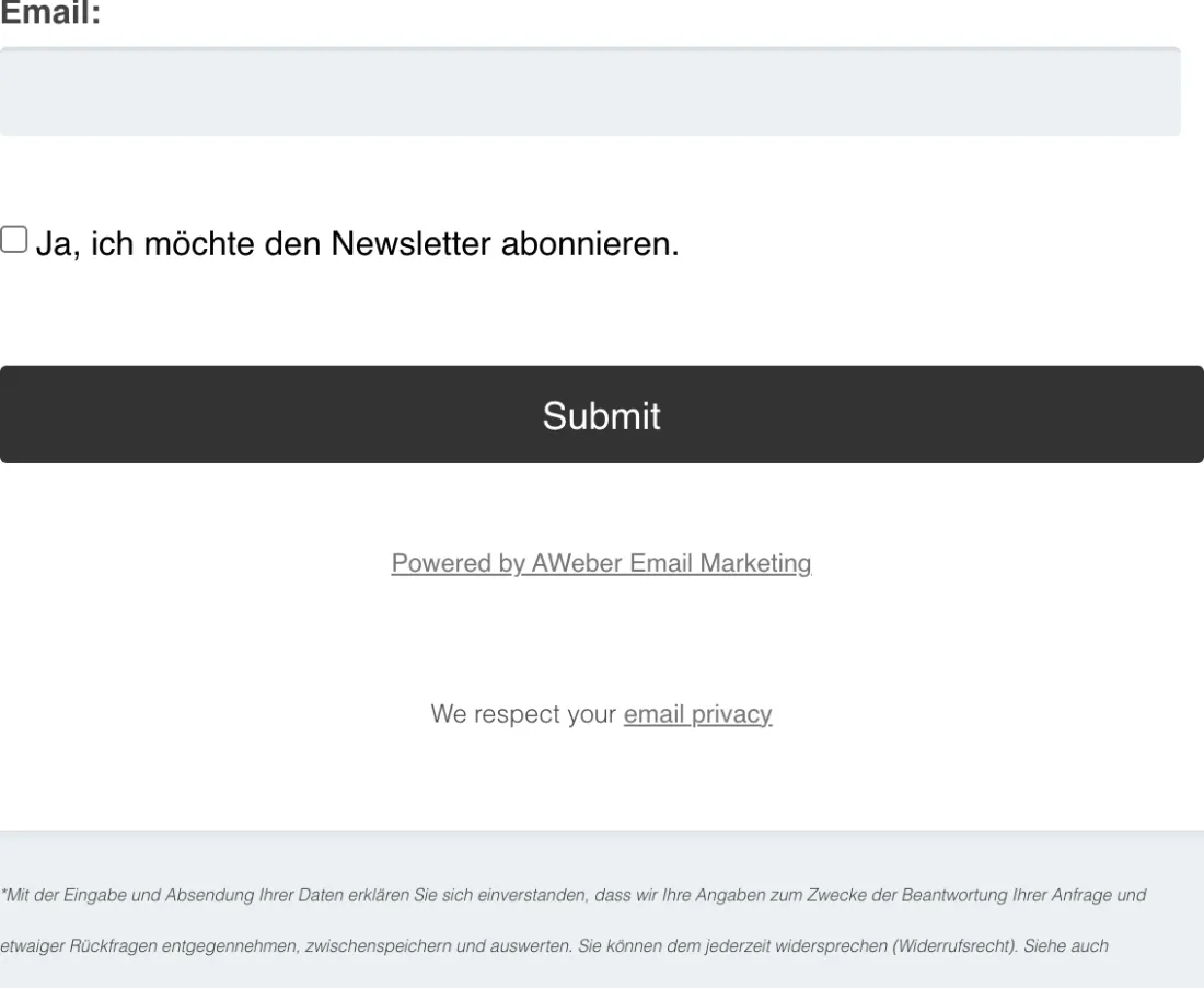 Ausschnitt der Website von Lorenzo Jäger Solutions, München: Ein Feld plus optionales Newsletter-Häkchen und Datenschutzhinweis — geringe Hürde, zugleich eindeutiges Einverständnis.