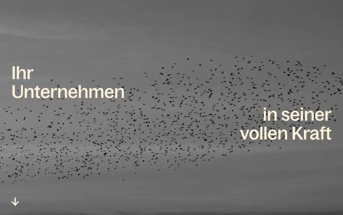 Ausschnitt der Website von Manufaktur für Wachstum GmbH, Bochum: Zweiteilige Headline mit starkem Kontrast und Scrollpfeil — wer sucht, versteht in Sekunden, worum es geht und dass mehr folgt.