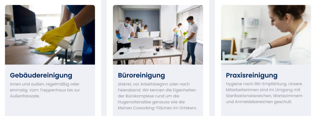 Ausschnitt der Website von reinheit, Landkreis Offenbach: Drei Kacheln plus klare Details wie 'vor Arbeitsbeginn' und 'RKI‑Empfehlung' — wer sucht, prüft die Passung ohne Nachfragen.