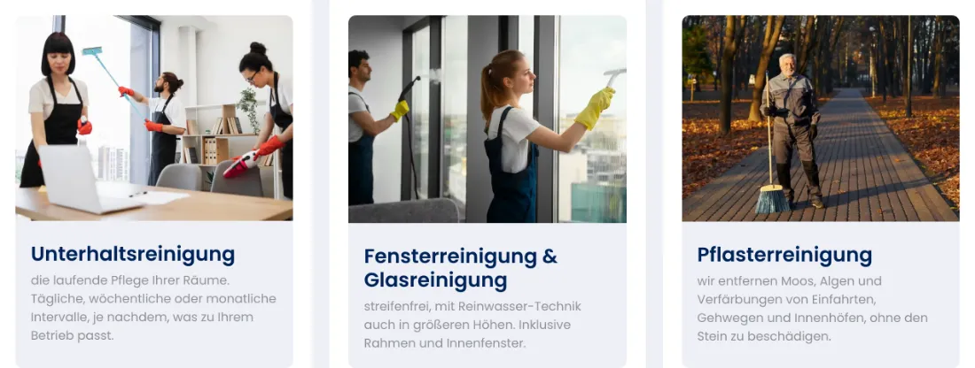 Ausschnitt der Website von reinheit, Landkreis Offenbach: Drei Kacheln nennen Intervalle und Technik: täglich bis monatlich, Reinwasser, schonend auf Pflaster — das klärt den Umfang sofort.