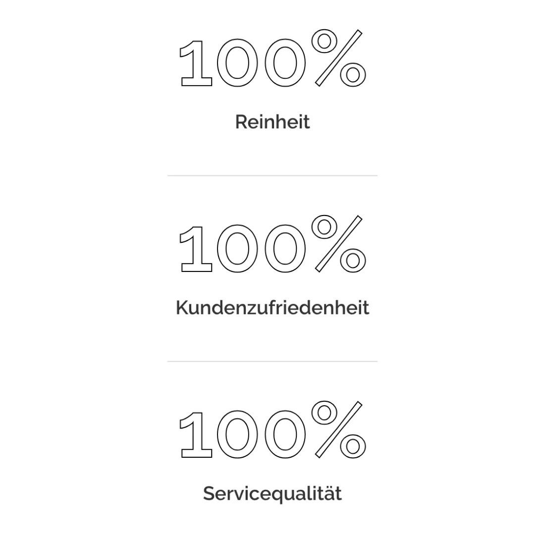 Ausschnitt der Website von Spöckl Gebäudereinigung, Landkreis Harburg: Dreimal 100% mit klaren Titeln — die zentralen Aussagen sind in Sekunden erfasst, ohne Fließtext lesen zu müssen.