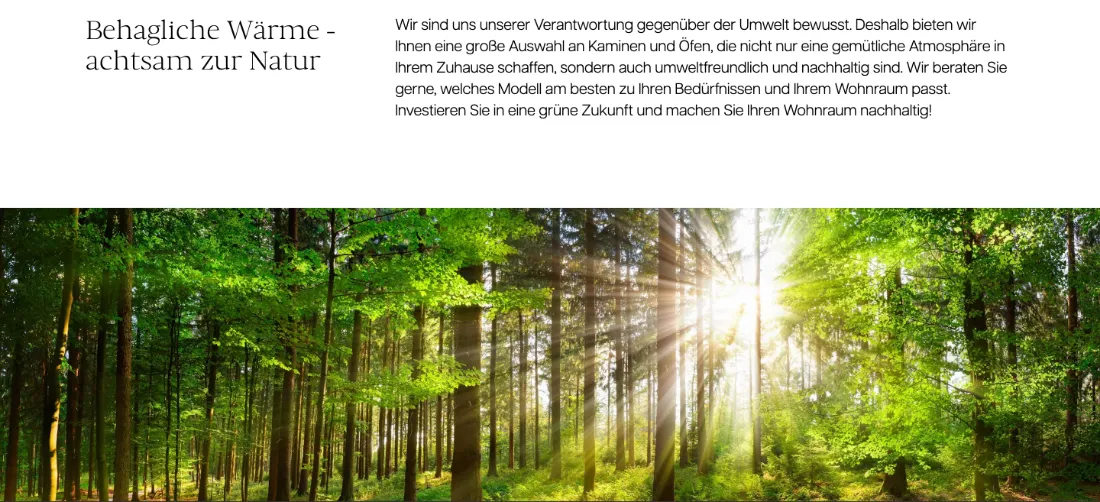 Ausschnitt der Website von Kaminzentrum Hannover, Hannover: Überschrift mit Haltung und erklärender Absatz — wer ökologische Lösungen sucht, erkennt sofort Angebot und Beratungsschwerpunkt.