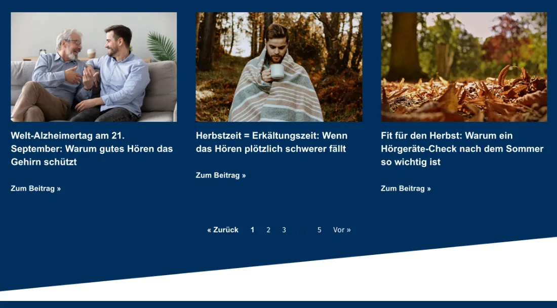 Ausschnitt der Website von Wockenfuß Hörakustik, Rostock: Drei Beiträge pro Reihe mit klaren Titeln und 'Zum Beitrag'-Links — die Seiten 1–5 ermöglichen schnelles Stöbern ohne Scrollen.